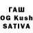 ТГК Wax Adilhan Chahalov