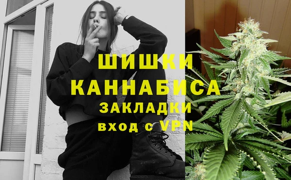 индика Алзамай
