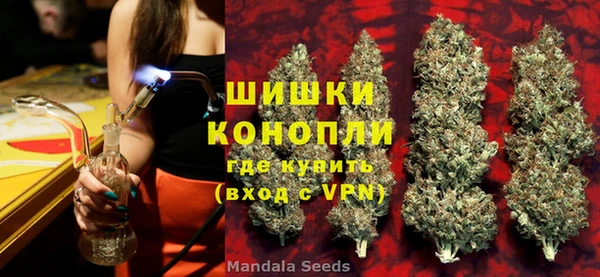 индика Алзамай