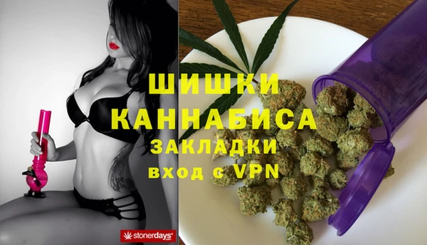 индика Алзамай