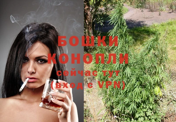 индика Алзамай