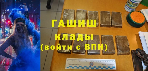индика Алзамай